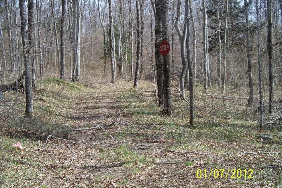 View of vacant 40 acres, hardwoods,