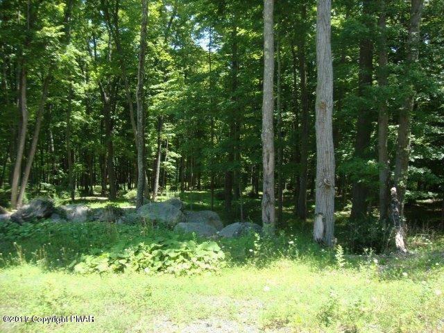 #61 Wedgewood Lake Dr, Stroudsburg, PA 18360 - photo 1