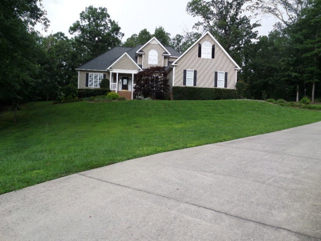 Main View