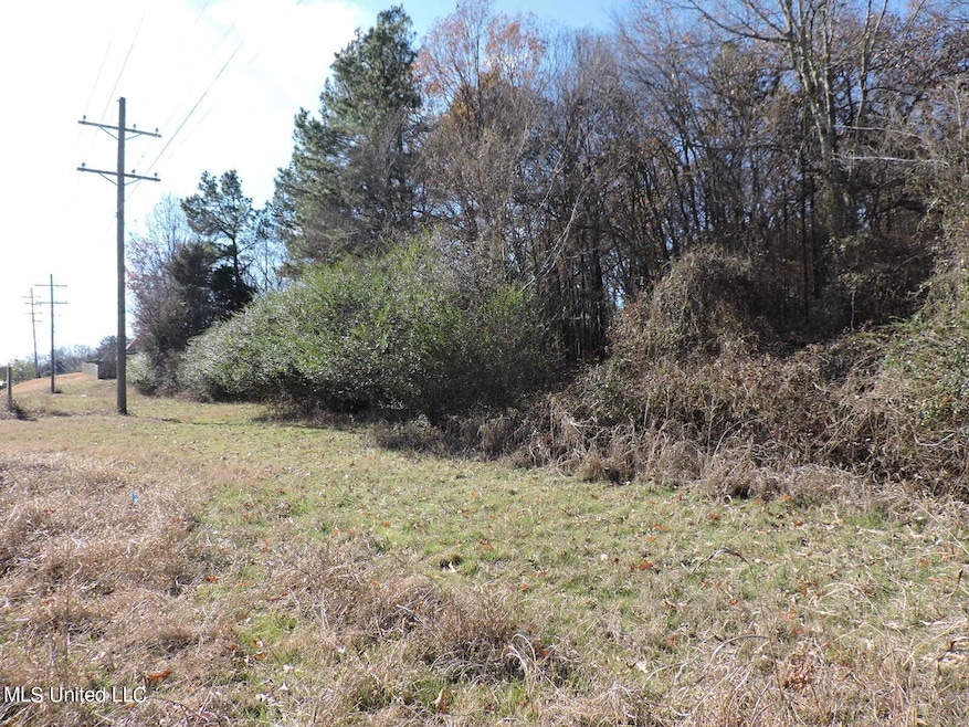 4875 Highway 305, Olive Branch, MS 38654 - photo 1