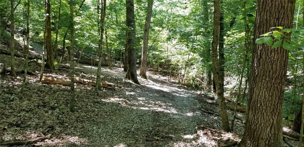 0 Valley View, Eureka Springs, AR 72632 - photo 1