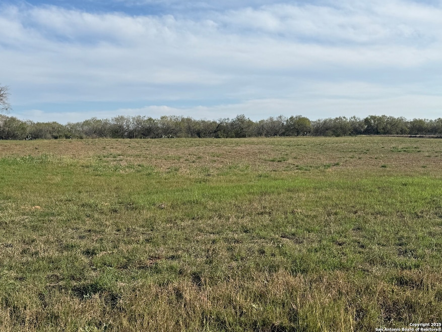 13208 Adkins Saint Hedwig Rd, Saint Hedwi1, TX 78152 - photo 1