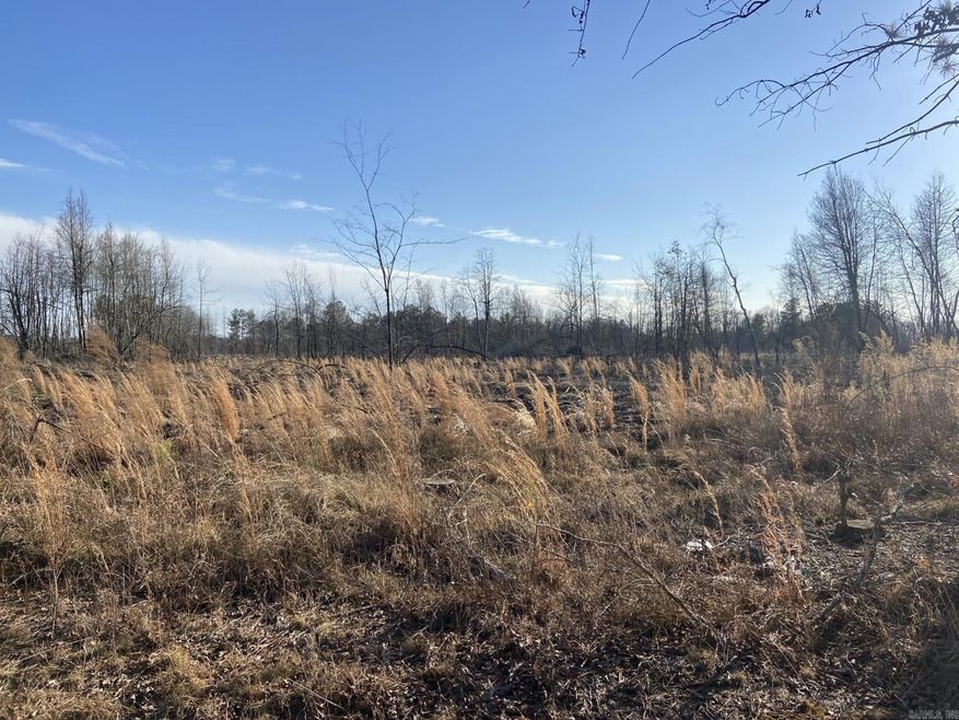 0 Ozan C unit 24032575, Ozan, AR 71855 - photo 1