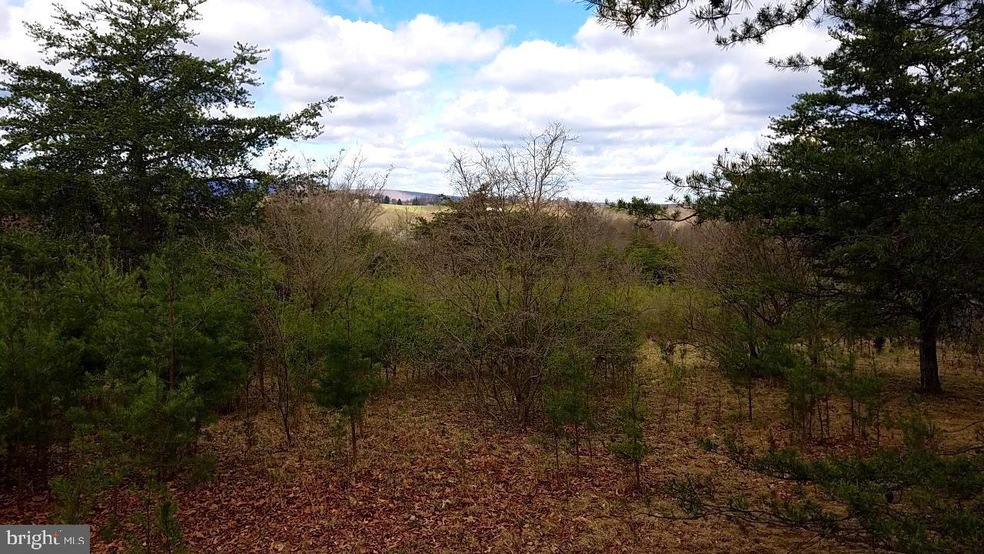 0 Orion Ct unit WVMO2001398, Berkeley Springs, WV 25411 - photo 1