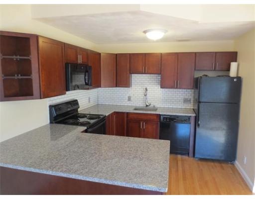 191 Bunker Hill St unit 202, Boston, MA 02129 - photo 1