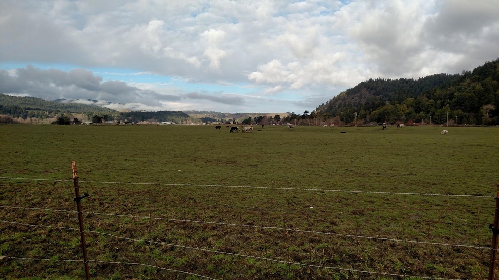 main photo (1)
