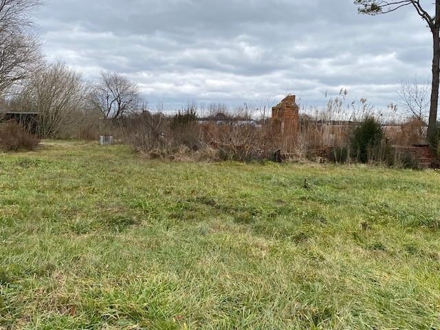 Main View