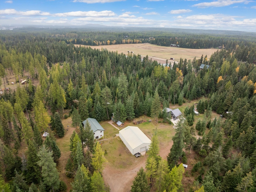 Bird's eye view of a forest