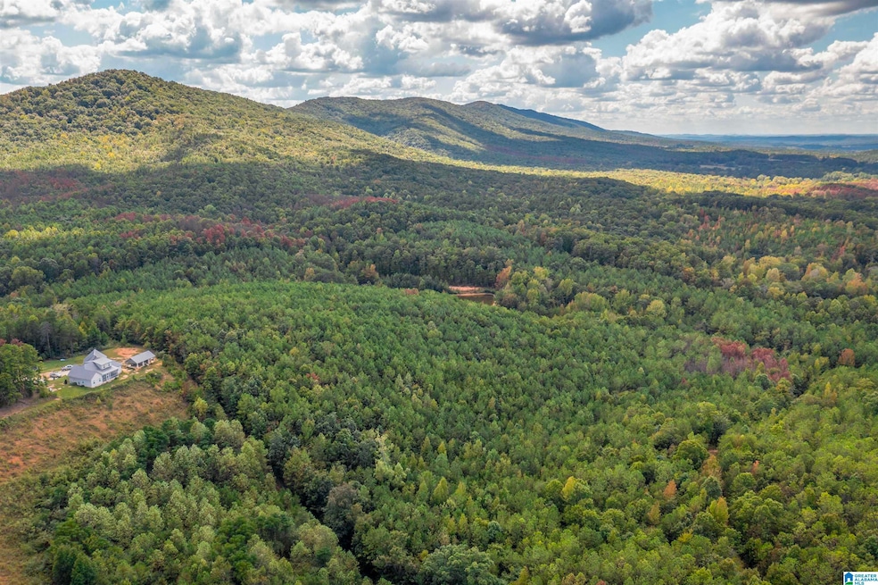 3 Acres Tuck-A-way Dr unit 20, Piedmont, AL 36272 - photo 1
