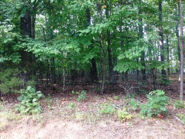 Lot Photo 0915