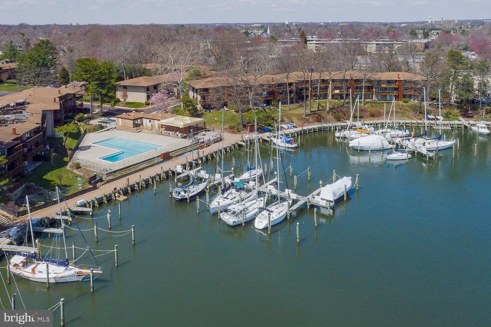 764 Fairview Ave unit F, Annapolis, MD 21403 - photo 1