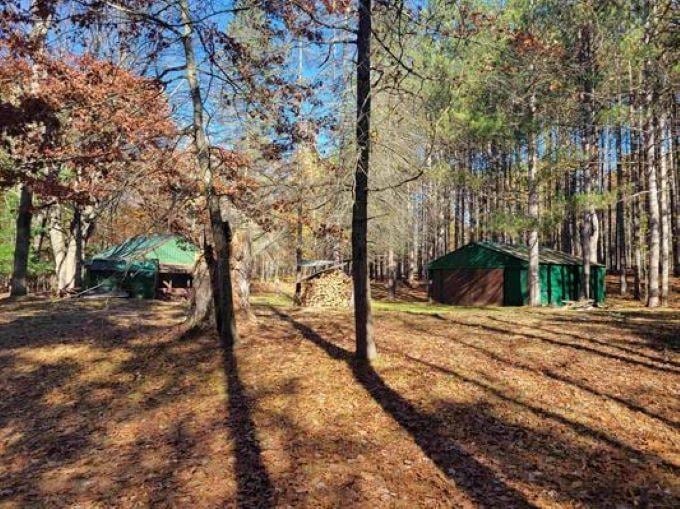 3385 Jones Rd, Beaverton, MI 48612 - photo 1