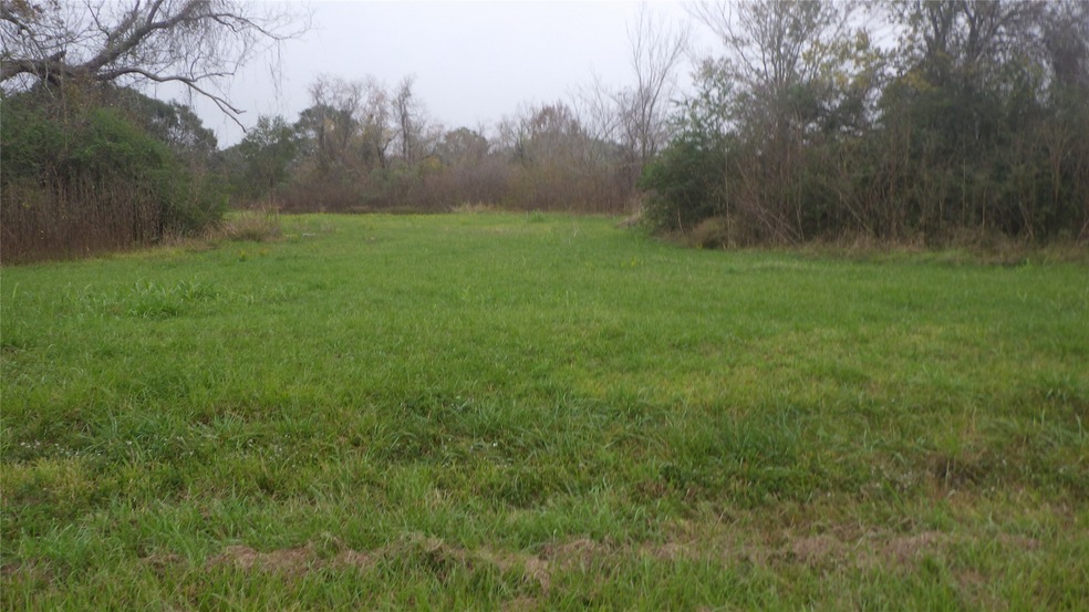521 Fm 521, Brazoria, TX 77422 - photo 1