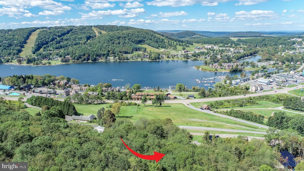 Lots 2 and 3 Fair Gate Rd, McHenry, MD 21541 - photo 1