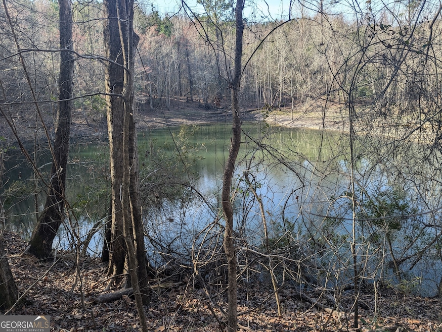 0 Parker Rd unit 10461595, Dry Branch, GA 31020 - photo 1