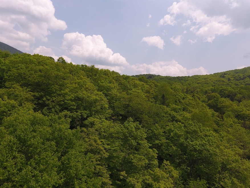 0 Bennett Rd, Kirby, VT 05832 - photo 1