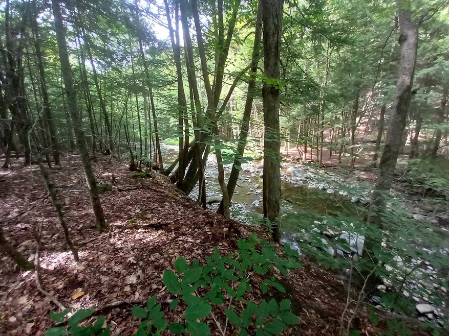 000 Wheeler Rand Rd, Charlestown, NH 03603 - photo 1