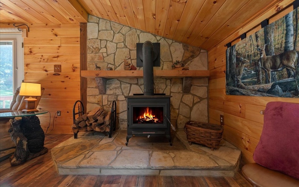 5439 W Hwy 382, Ellijay, GA 30536 - photo 1