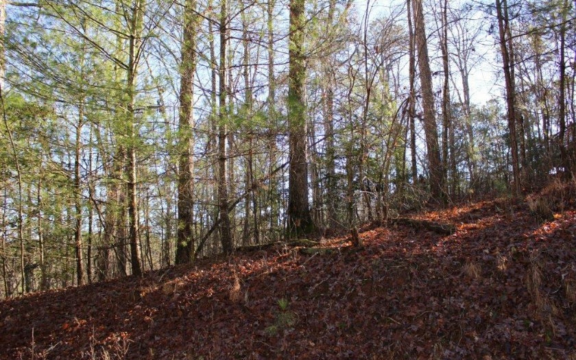 0 Olaf Ct - Lt 1194, Ellijay, GA 30540 - photo 1