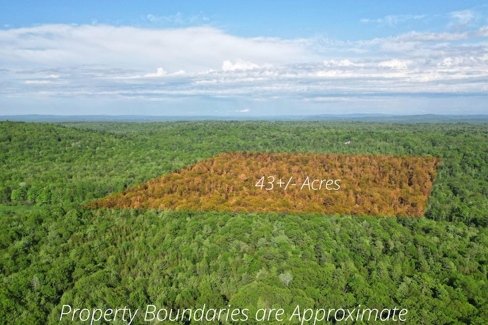 Lot16 Torrey Hill Rd, Turner, ME 04282 - photo 1