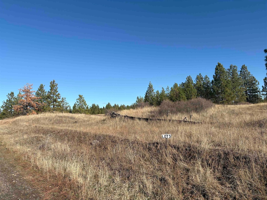 35390 Prairie Ln N unit Lot 5, Creston, WA 99117 - photo 1