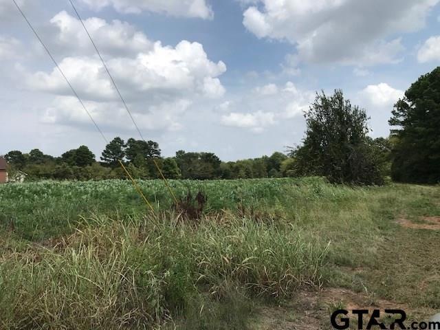 10605 County Road 210, Tyler, TX 75707 - photo 1