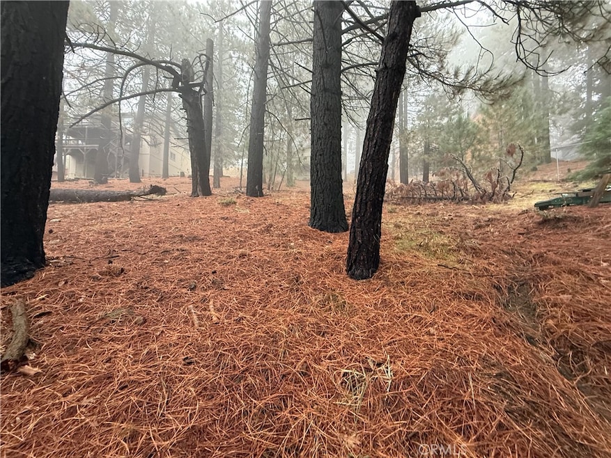 0 Poplar Dr, Running Springs, CA 92382 - photo 1