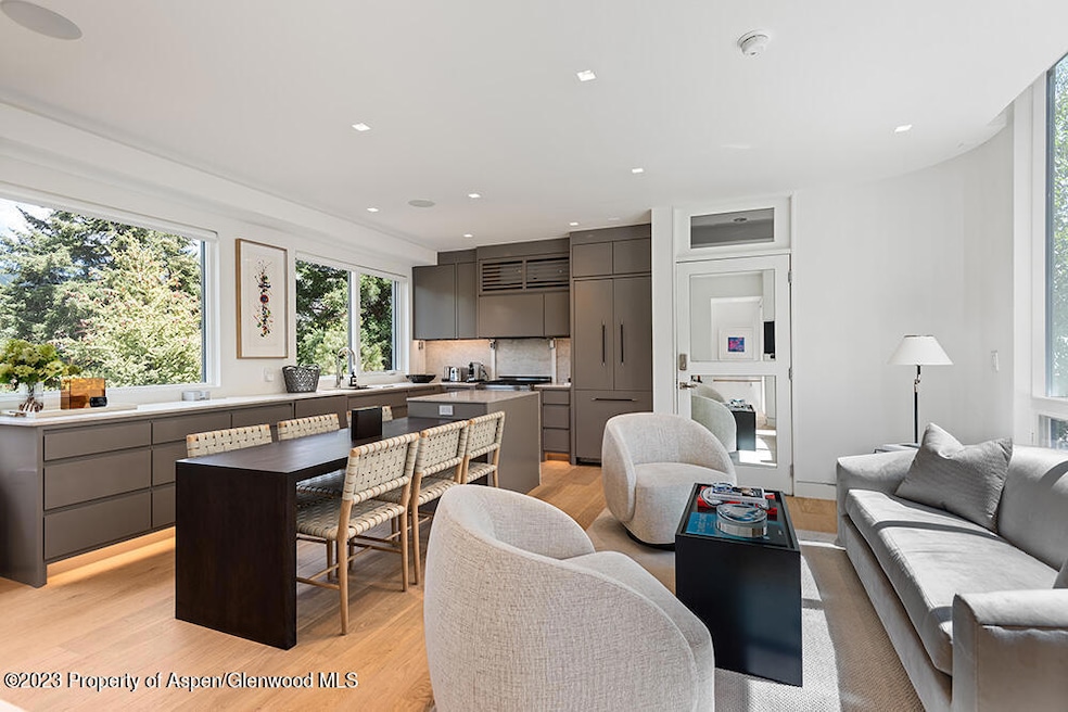 623 S Monarch St unit B, Aspen, CO 81611 - photo 1