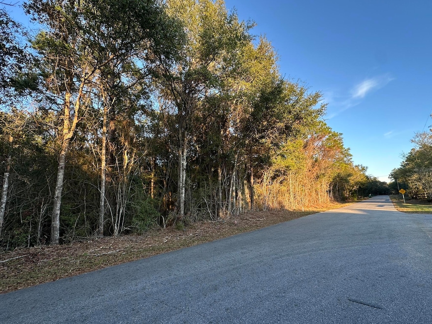 TBD E Chestnut Ave, Crestview, FL 32539 - photo 1