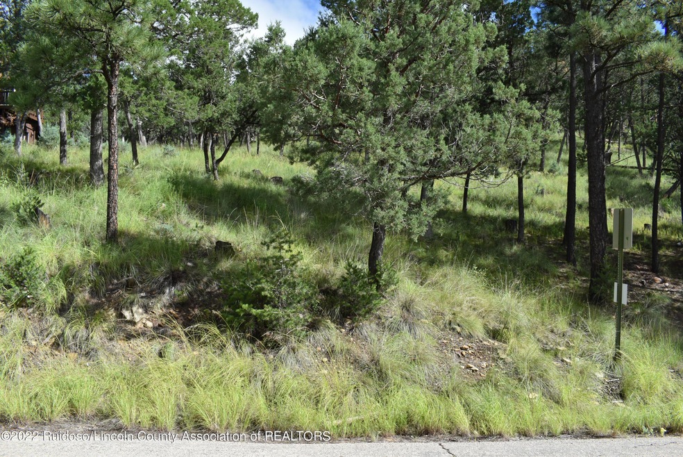 Lot 15 Lake Shore Dr, Alto, NM 88312 | MLS# 128656