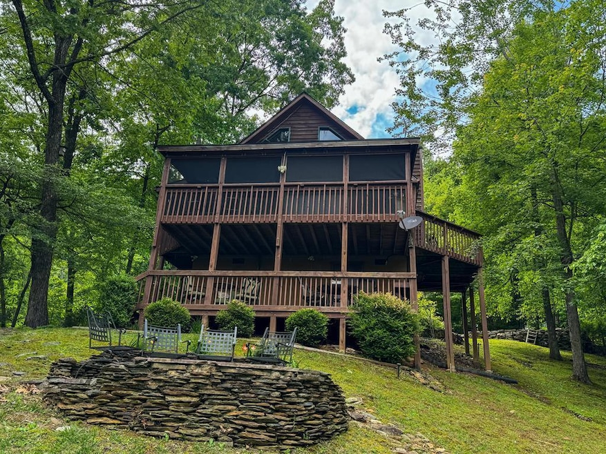 Main View