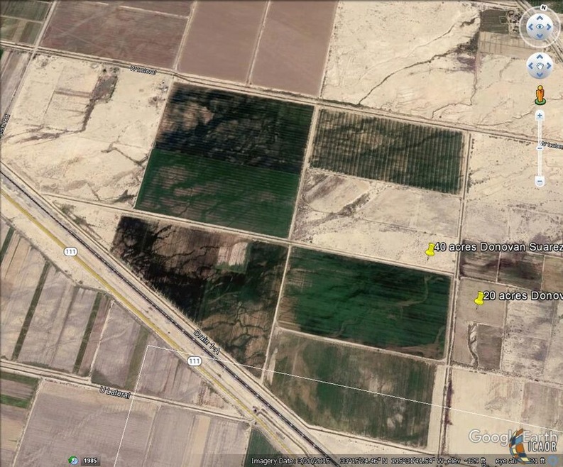 40 Acres Surrounding Area