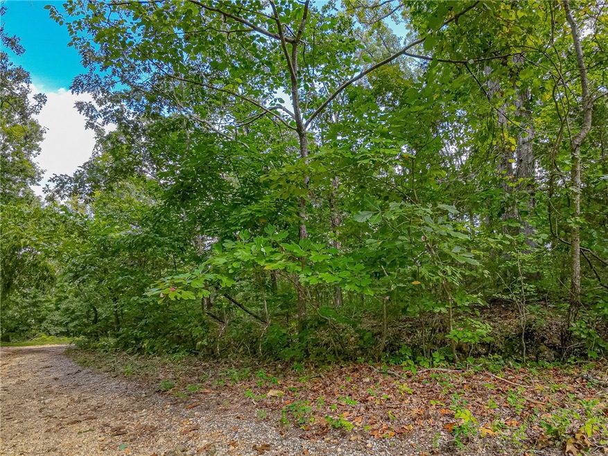 0 Lockton Dr, Bella Vista, AR 72714 - photo 1