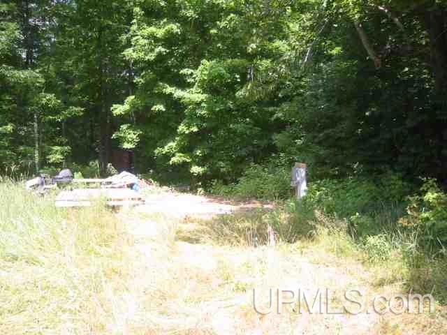 6271 Clemens Ln, Blackwell, WI 54541 - photo 1