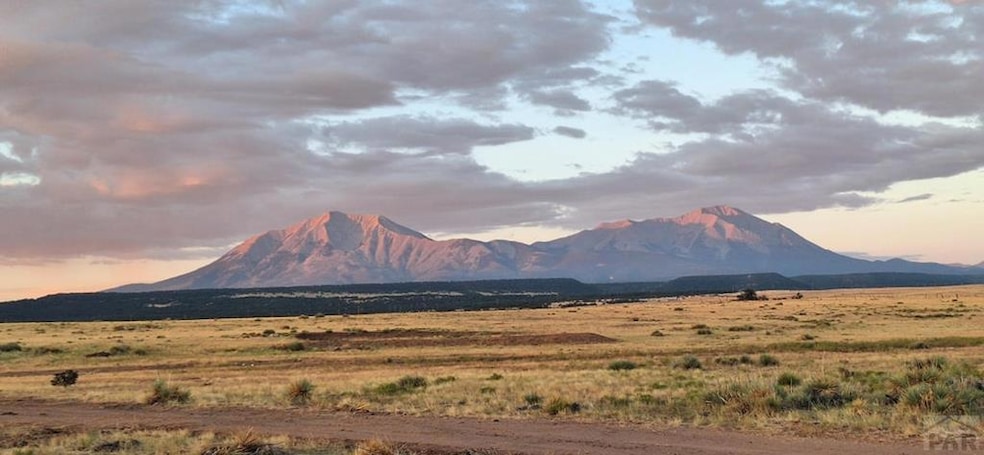 TBD W Winds Rd, Walsenburg, CO 81089 - photo 1