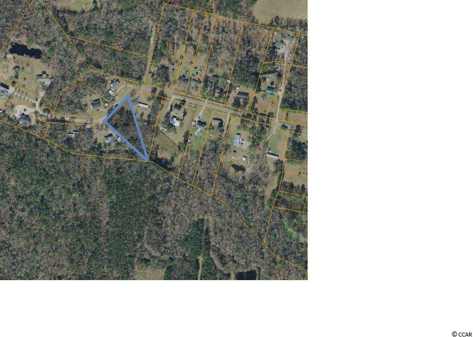 TBD Jungle Rd, Conway, SC 29526 - photo 1