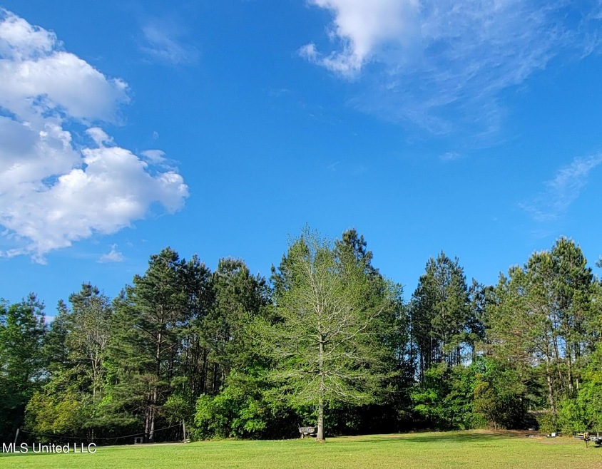 793 W Mchenry Rd, McHenry, MS 39561 - photo 1