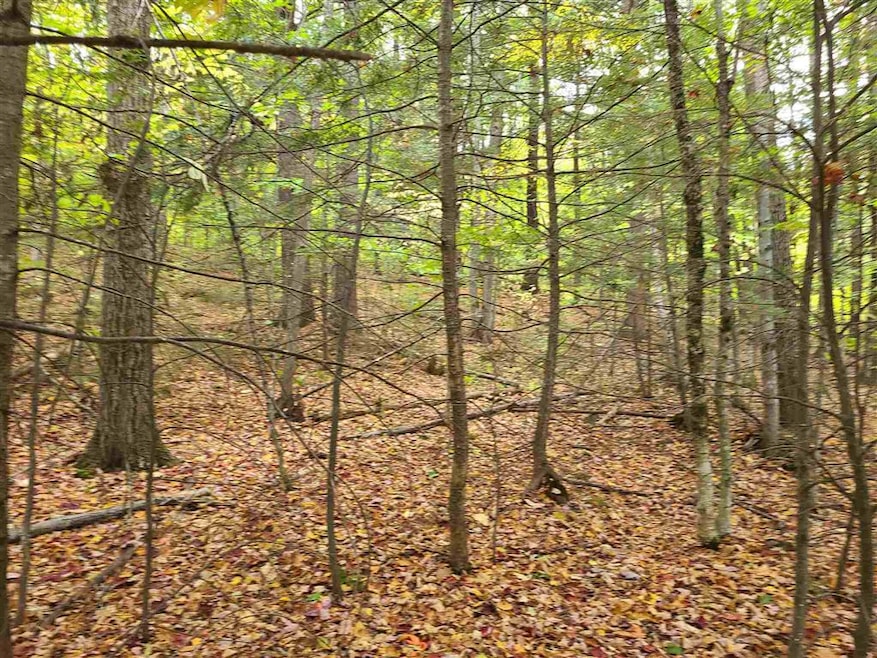 167 Ossipee Mountain Rd, Center Ossipee, NH 03814 - photo 1