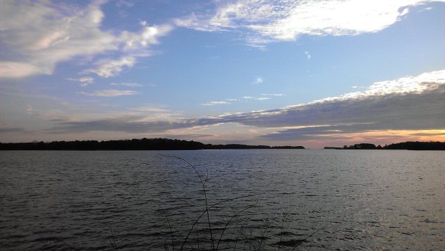 Main View