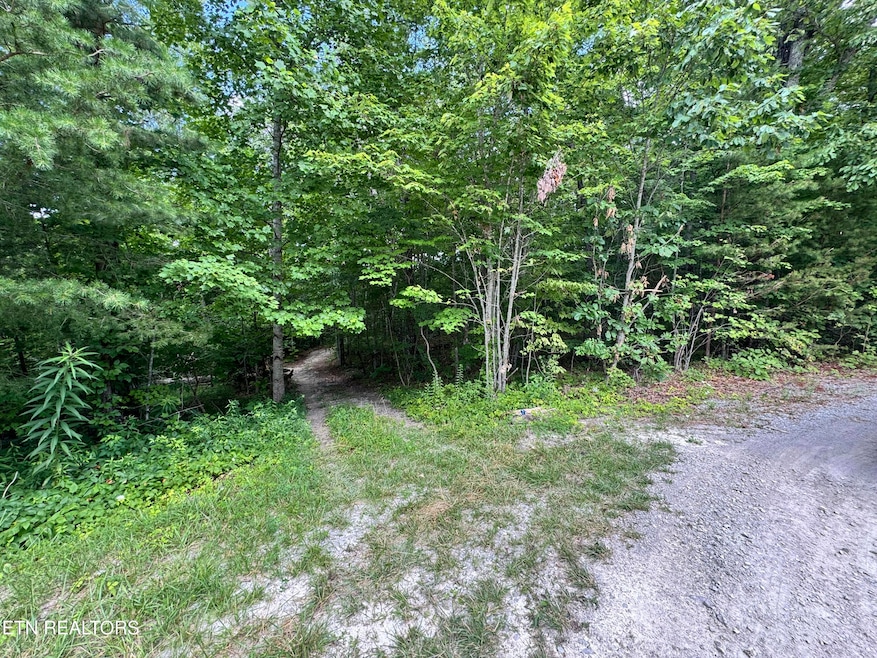 0 E Loomis Rd, Jamestown, TN 38556 - photo 1