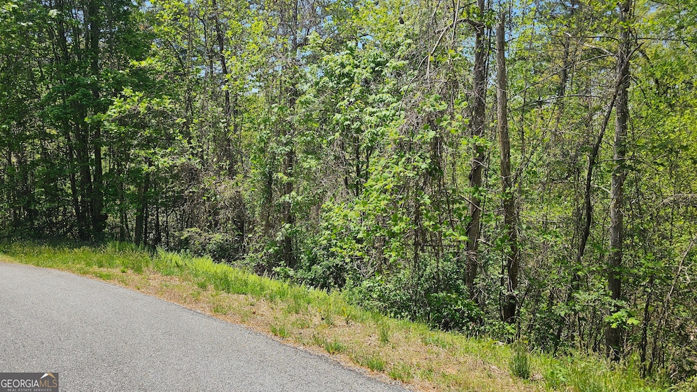 0 Heavenly Cir unit 19 10509010, Clayton, GA 30525 - photo 1