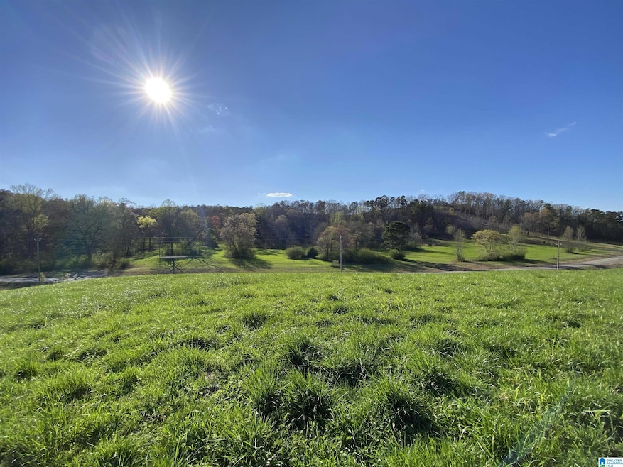 6423 Highway 174, Springville, AL 35146 - photo 1