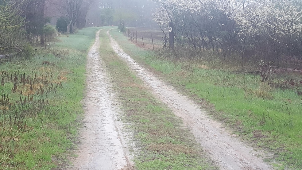 0 Sumler Rd, Castalia, NC 27816 - photo 1