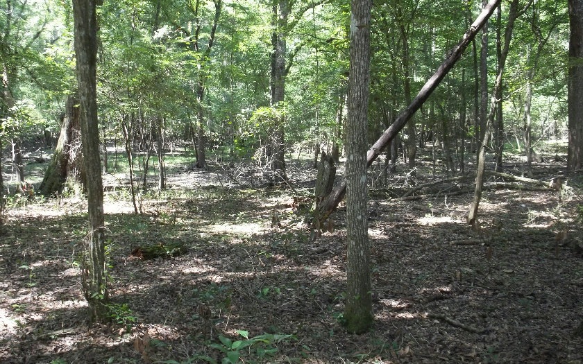 0 Ohio St unit 91490, Fort White, FL 32038 - photo 1