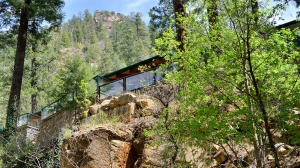 Nestled in the Trees
