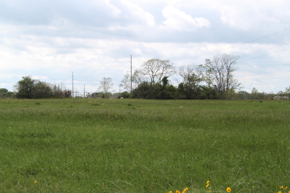 0 Hauck Rd unit 20539116, Hempstead, TX 77445 - photo 1