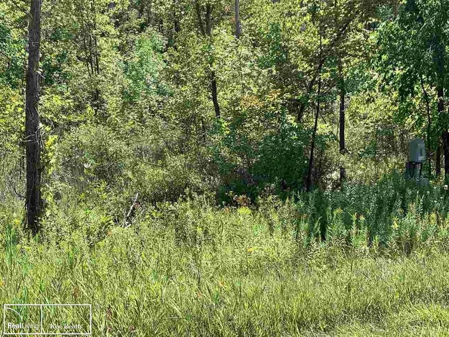 0 E Huron unit 50021915, Au Gres, MI 48703 - photo 1