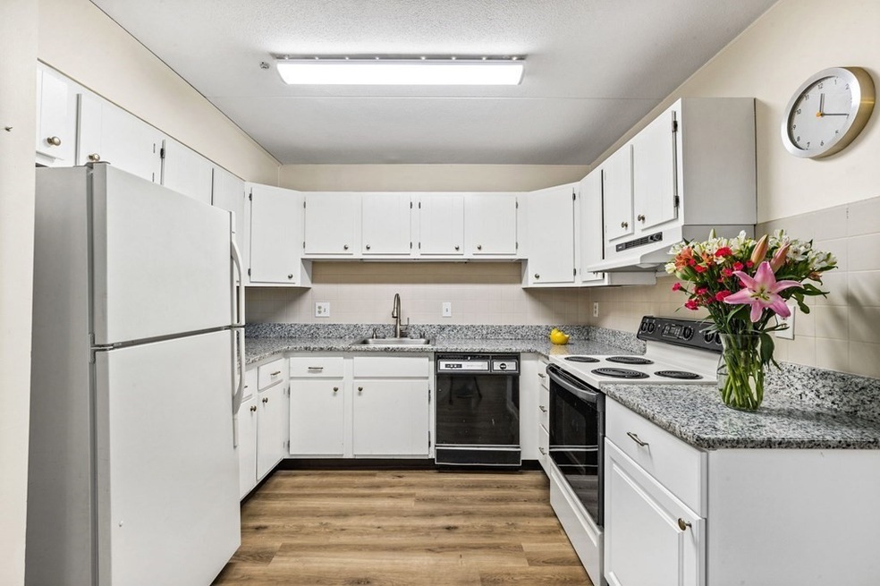 Tall Oaks Village unit 501, South Weymouth, MA 02190 - photo 1