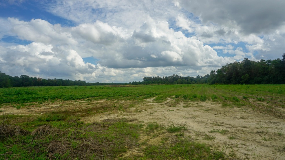 20 Ac Hwy 63 - S, Lucedale, MS 39452 - photo 1