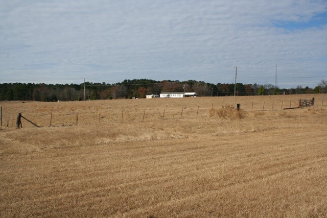 Main View